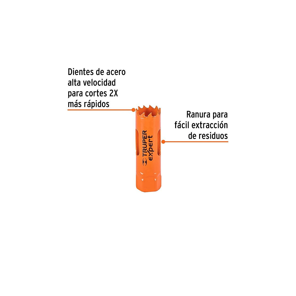 Texto alternativo de imagen