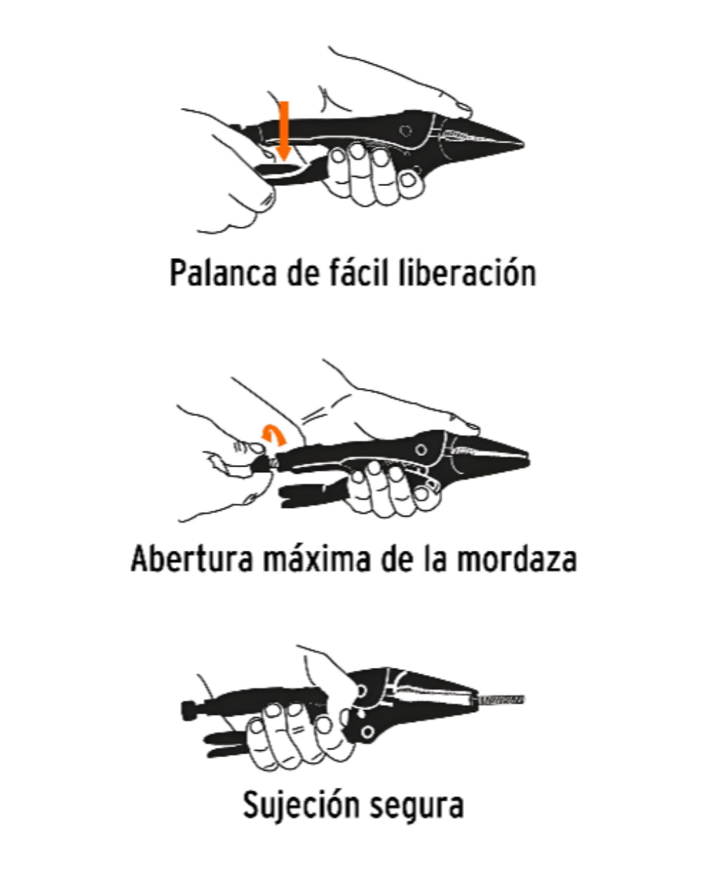 Texto alternativo de imagen