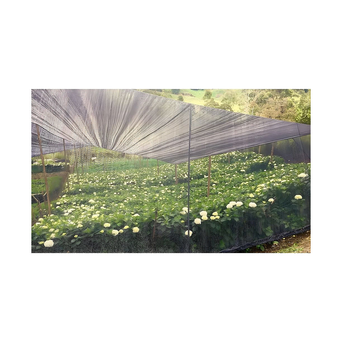 SKU 18776 18776_5.jpg