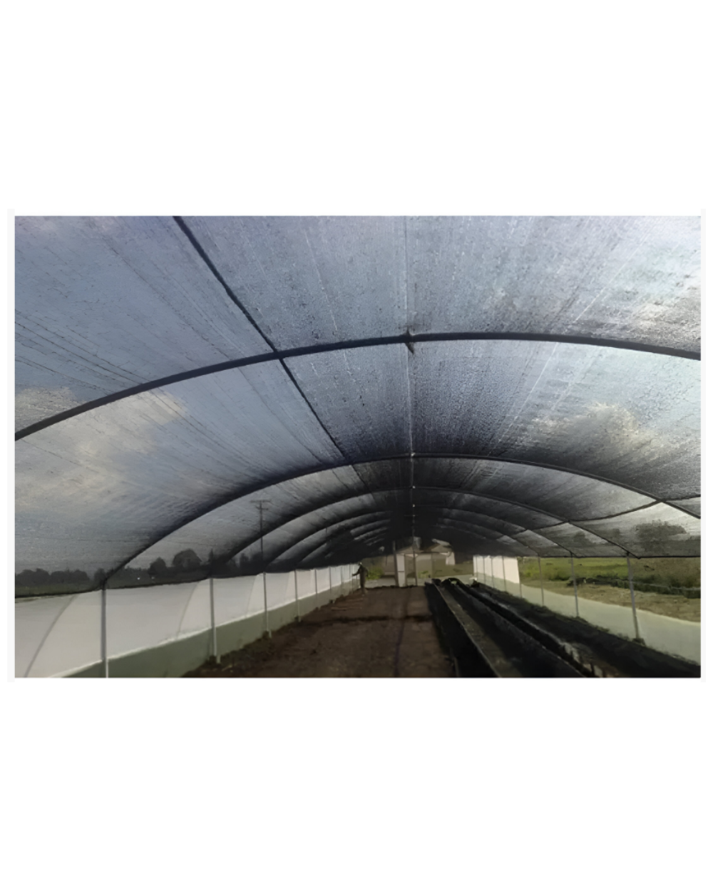 Texto alternativo de imagen