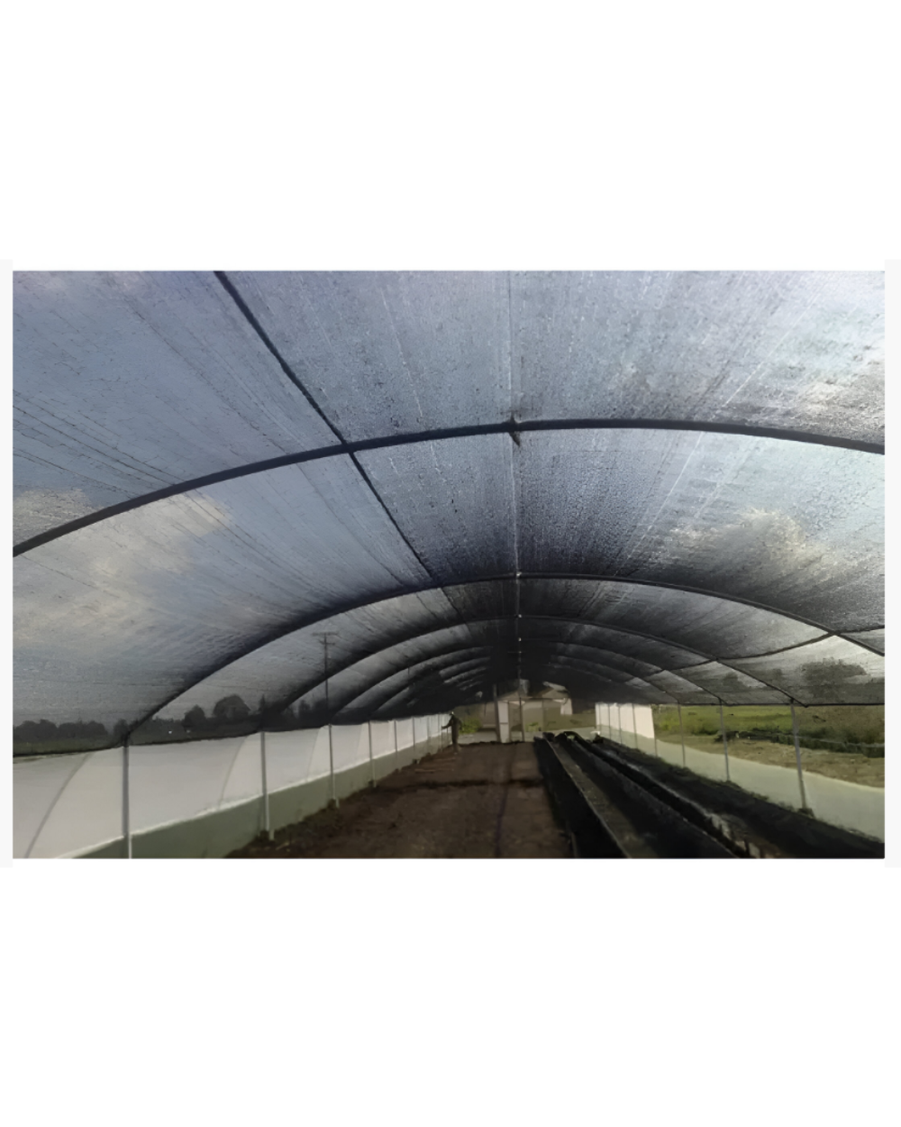 Texto alternativo de imagen