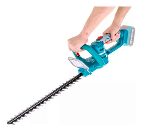 Texto alternativo de imagen